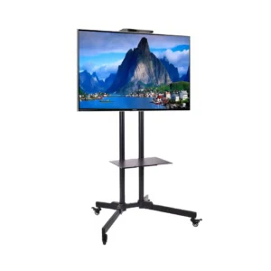 55" TV SCREEN & STAND